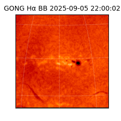 gong - 2025-09-05T22:00:02