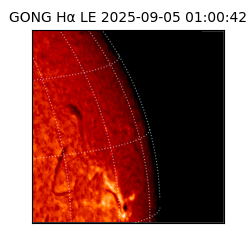 gong - 2025-09-05T01:00:42