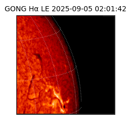 gong - 2025-09-05T02:01:42