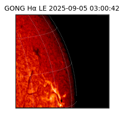 gong - 2025-09-05T03:00:42