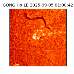 gong - 2025-09-05T01:00:42