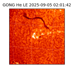 gong - 2025-09-05T02:01:42