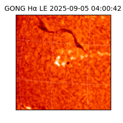 gong - 2025-09-05T04:00:42