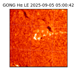 gong - 2025-09-05T05:00:42