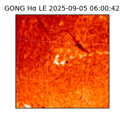 gong - 2025-09-05T06:00:42