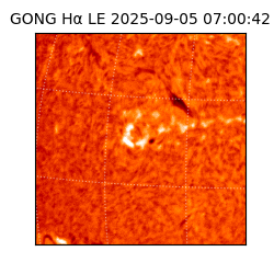 gong - 2025-09-05T07:00:42