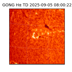 gong - 2025-09-05T08:00:22