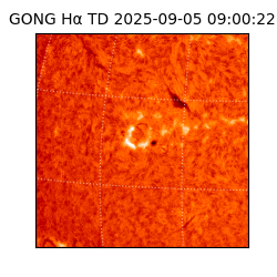 gong - 2025-09-05T09:00:22