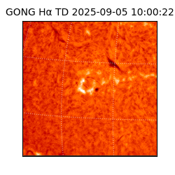 gong - 2025-09-05T10:00:22