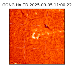 gong - 2025-09-05T11:00:22