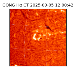 gong - 2025-09-05T12:00:42