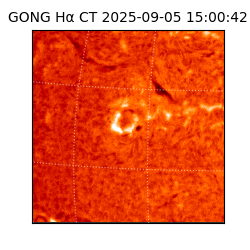 gong - 2025-09-05T15:00:42