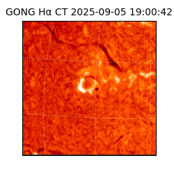 gong - 2025-09-05T19:00:42