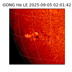 gong - 2025-09-05T02:01:42