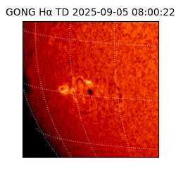gong - 2025-09-05T08:00:22