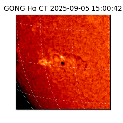 gong - 2025-09-05T15:00:42