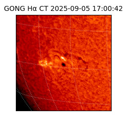 gong - 2025-09-05T17:00:42