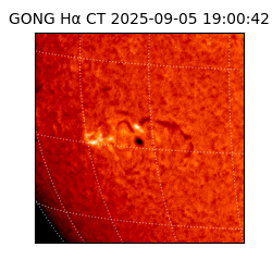 gong - 2025-09-05T19:00:42