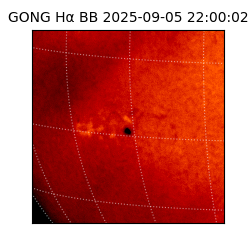 gong - 2025-09-05T22:00:02