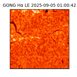 gong - 2025-09-05T01:00:42