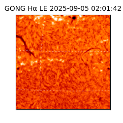 gong - 2025-09-05T02:01:42