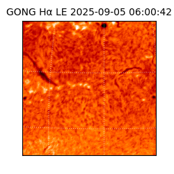 gong - 2025-09-05T06:00:42