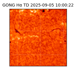 gong - 2025-09-05T10:00:22