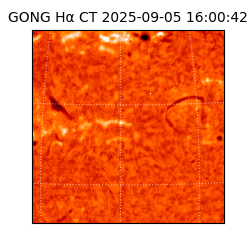 gong - 2025-09-05T16:00:42