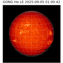 gong - 2025-09-05T01:00:42