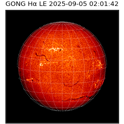 gong - 2025-09-05T02:01:42