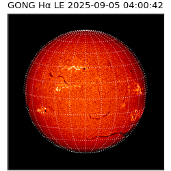 gong - 2025-09-05T04:00:42
