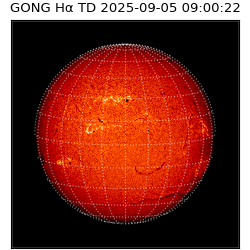 gong - 2025-09-05T09:00:22