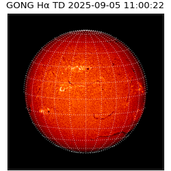 gong - 2025-09-05T11:00:22