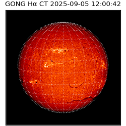 gong - 2025-09-05T12:00:42