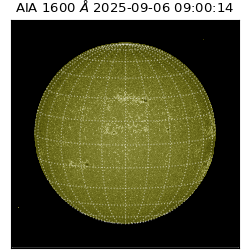 saia - 2025-09-06T09:00:14.126000