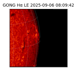 gong - 2025-09-06T08:09:42