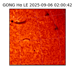 gong - 2025-09-06T02:00:42