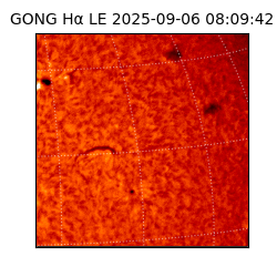 gong - 2025-09-06T08:09:42