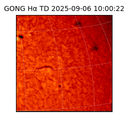 gong - 2025-09-06T10:00:22
