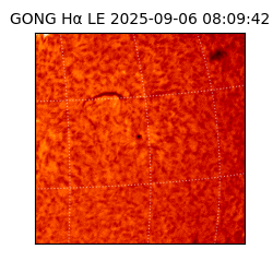 gong - 2025-09-06T08:09:42
