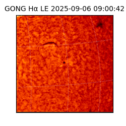 gong - 2025-09-06T09:00:42
