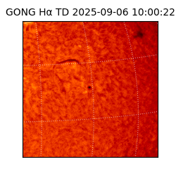 gong - 2025-09-06T10:00:22