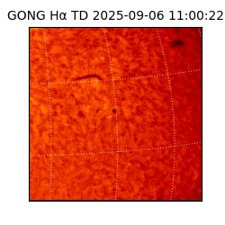 gong - 2025-09-06T11:00:22