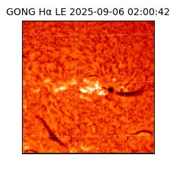 gong - 2025-09-06T02:00:42