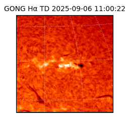 gong - 2025-09-06T11:00:22