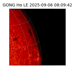 gong - 2025-09-06T08:09:42