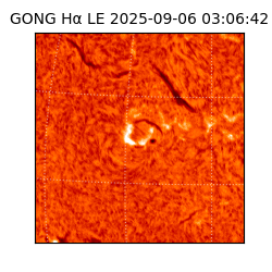 gong - 2025-09-06T03:06:42