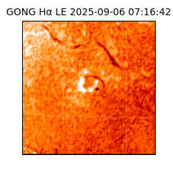 gong - 2025-09-06T07:16:42