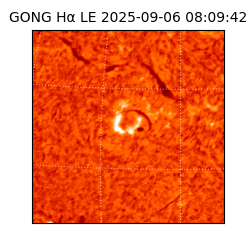 gong - 2025-09-06T08:09:42