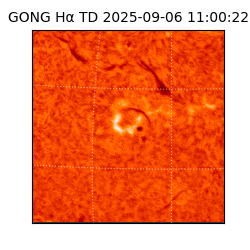 gong - 2025-09-06T11:00:22